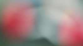 Manuela Braunmüller