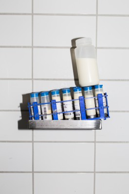 Manuela Braunmüller