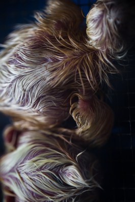 Manuela Braunmüller