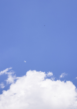 Manuela Braunmüller