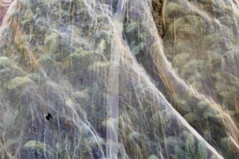 Manuela Braunmüller