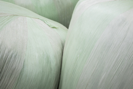 Manuela Braunmüller