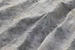 Manuela Braunmüller