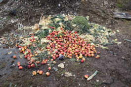 Manuela Braunmüller