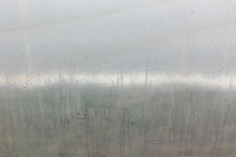 Manuela Braunmüller