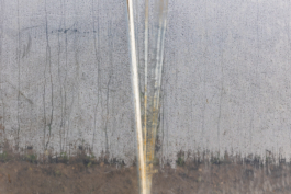 Manuela Braunmüller