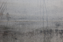 Manuela Braunmüller